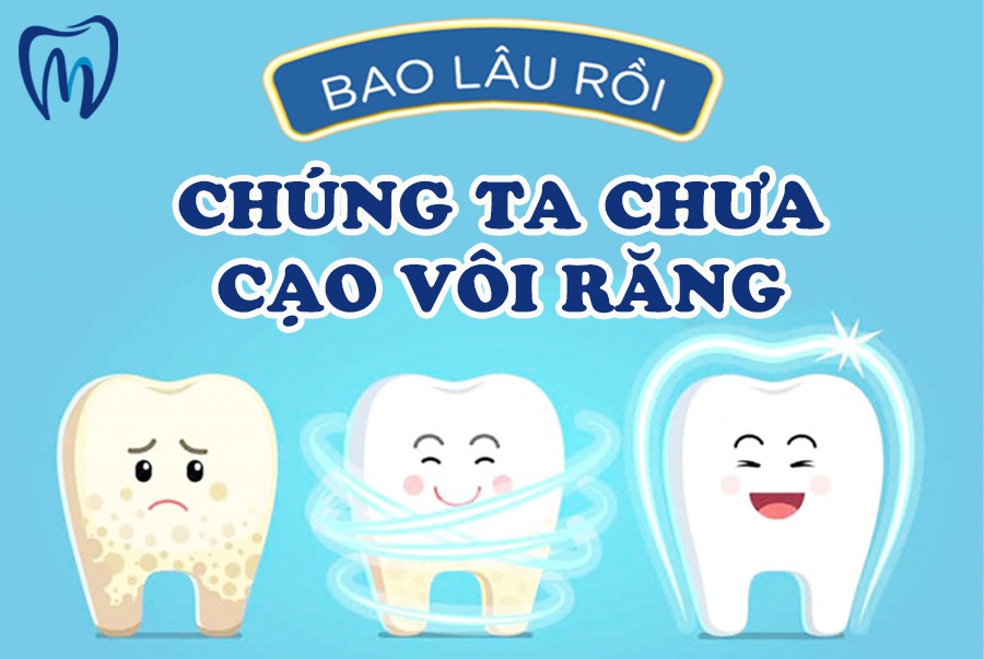 cao-voi-rang